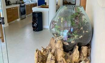 Imagem 10: Cheia de luz Casa em condomínio com 5 dormitórios