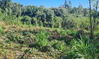 Imagem: Ótima área 5.2ha, boa para investimento