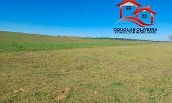 Imagem: Fazenda 84 Alqueires Região De Presidente