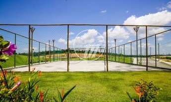 Imagem 5: Maceió - Loteamento/Condomínio - Guaxuma