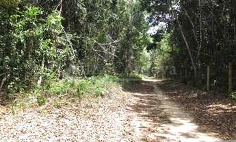 Imagem 7: Lote/Terreno para venda possui 50000 metros quadrados em Arraial D'Ajuda - Porto Segu