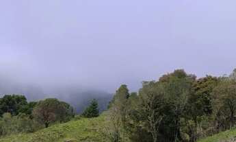 Imagem 3: São Pedro Terreno / lote com venda por R$440.000