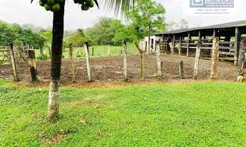 Imagem 7: Itajuípe - Fazenda - FAZENDA AMARALINA