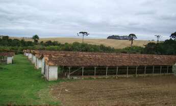 Imagem: Venda CHÁCARA/FAZENDA/SÍTIO ARAUCARIA