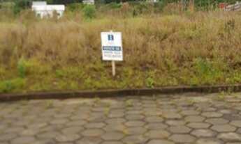 Imagem 4: 3 terrenos juntos em Criciúma