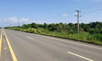 Imagem 2: Terreno km 17 com 113 hectares ém iranduba na Am 070