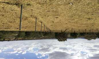 Imagem 3: Fazenda em caldas novas 7 Alqueires