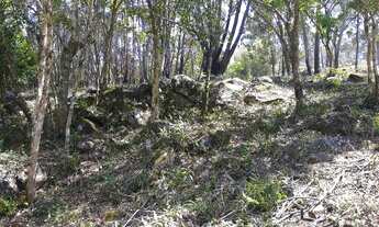 Imagem 7: área de 2.00ha, toda limpa e cercada, com vertente