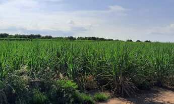 Imagem 5: SITIO COM 25 ALQUEIRES EM MOGI MIRIM