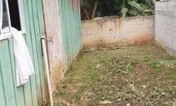 Imagem 4: Alugo casa Roseira