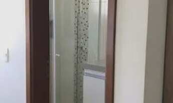 Imagem 3: Santo Antônio do Aracanguá - Fazenda/Sítio - Macaúba