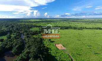 Imagem: Fazenda de 454 alqueires ( 2.201 hectares)