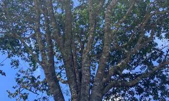 Imagem 7: Chácaras Recanto do Lago em Aragoiania