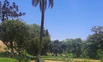 Imagem: Terreno chácara ( Aparecidinha Sorocaba