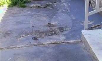 Imagem 3: Excelente apartamento térreo [VP