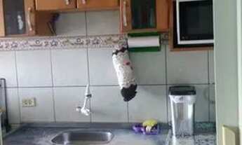 Imagem 3: Apartamento para venda com 52 metros quadrados com 2 quartos em Vila Nova - Porto Alegre