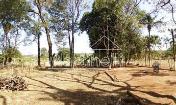 Imagem 4: Chácara Padrão em Ribeirão Preto