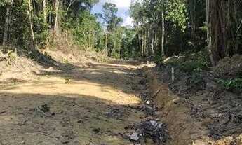 Imagem 5: Vendo lotes na AM O10 KM 37. Comunidade do Leão
