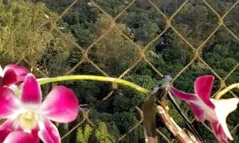 Imagem 3: Apartamento de 2 quartos no Itanhangá