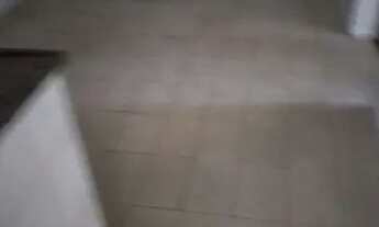 Imagem 7: OSASCO - Casa Padrão - REMÉDIOS