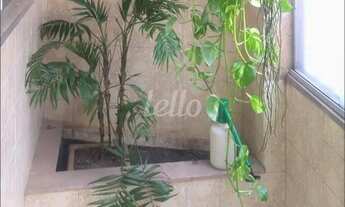 Imagem 4: São Paulo - Casa Comercial - Saúde