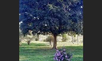 Imagem 4: Lindo Sitio em Garuva