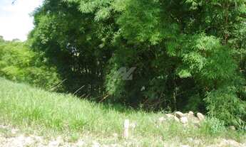 Imagem 4: Terreno - Joaquim Egídio - Campinas