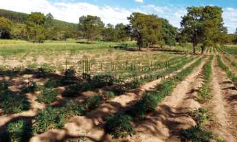 Imagem: Sensacional, Sítio a venda na cidade de