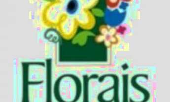 Imagem: Terreno condominio florais dos lagos 450mtss