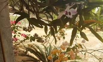 Imagem 7: Chácara em Bom Jesus do Bagre