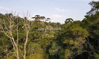 Imagem 6: Lindo Terreno à Venda na Região do Alto do Capivari - Campos do Jordão/SP