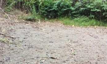 Imagem 2: Chácara à venda em Taquara RS, Na localidade de Fazenda Fialho!!