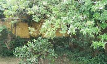 Imagem 10: Curitiba - Casa Padrão - Ahú