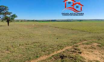 Imagem 3: Fazenda 84 Alqueires Região De Presidente Venceslau -SP