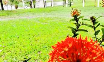 Imagem 2: Itajuípe - Fazenda - FAZENDA AMARALINA