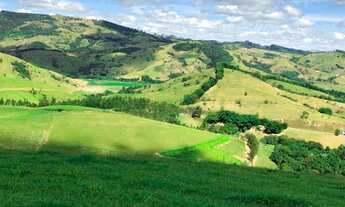 Imagem 3: Linda fazenda A Venda em Borda da Mata- MG