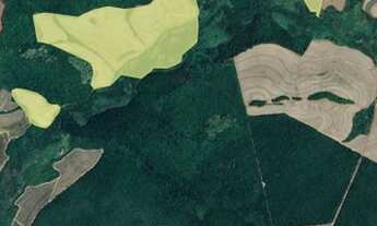 Imagem 5: FAZENDA ENTRE SÃO CARLOS E ARARAQUARA 74,23 ALQ