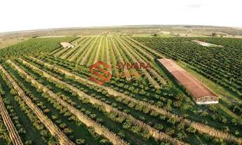 Imagem 6: VENDO FAZENDA COM 130 TAREFAS - CRISÓPOLIS - BAHIA