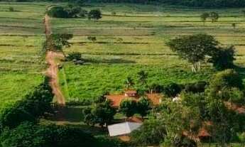 Imagem 2: Fazenda 220 Alqueires Região De Palmeira D' Oeste/SP