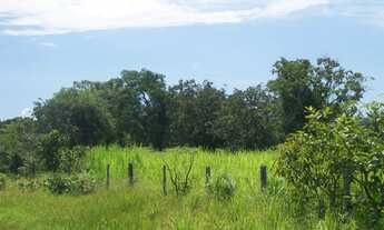 Imagem 6: Fazenda em Almas. 28 mil por alqueire