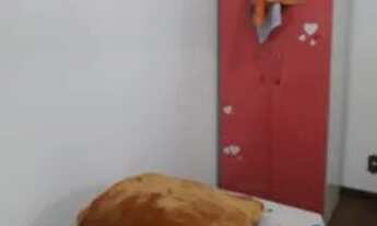 Imagem 5: Aluguel de quarto