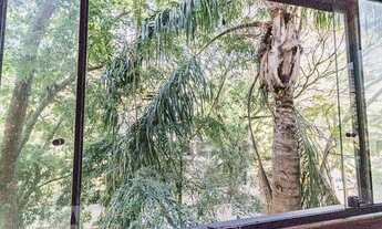 Imagem 5: Apartamento para Aluguel - Jardim Lindóia, 3 Quartos, 103 m2