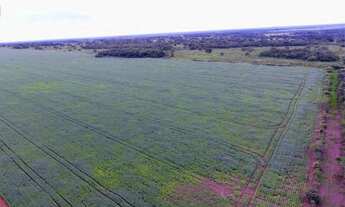 Imagem: Fazenda em Divinopolis-TO. Bruta