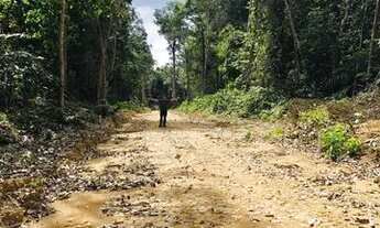 Imagem: Vendo lotes na AM O10 KM 37. Comunidade