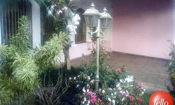 Imagem: São Paulo - Casa Padrão - Tatuapé