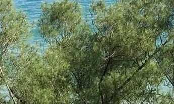 Imagem 3: Apartamento para aluguel tem 153 metros quadrados com 4 quartos em Praia do Pecado - Macaé