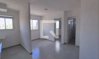 Imagem 5: Apartamento para Aluguel - Vila Guilhermina, 1 Quarto, 30 m2