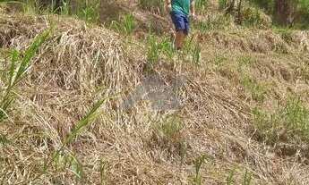 Imagem 2: Terreno - Joaquim Egídio - Campinas