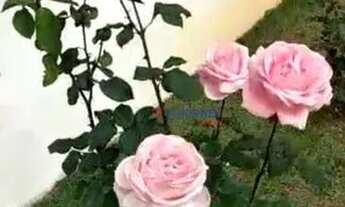 Imagem 5: Casa para alugar, 450 m² por R$ 20.435,00 - Paisagem Renoir - Cotia/SP