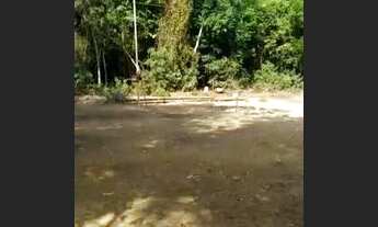 Imagem 6: Sítio nas proximidades de feliz Natal